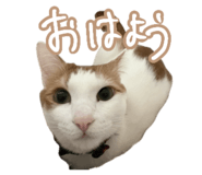 846192177