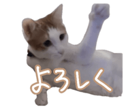 846192198