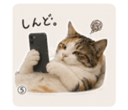 846193580