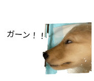846193735