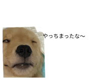 846193737