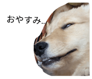846193749