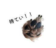 846194486