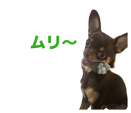 846194890