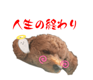 846194931