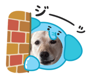 846195125