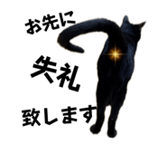 846195777