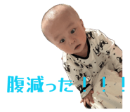 846198393