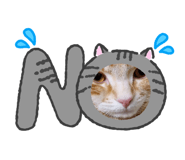 846198850
