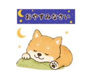 846199556