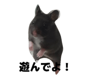 846199991