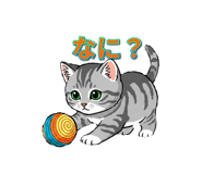 846200046