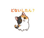 846200049