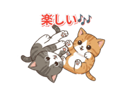 846200054