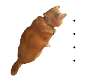 846200558