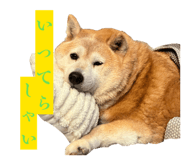 846200560