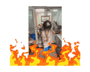 846201794