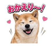 846202089