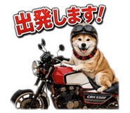 846202090