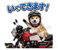 846202092
