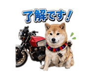 846202093
