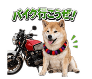 846202099