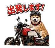 846202100