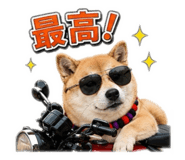 846202107