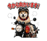 846202109