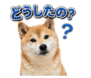 846202110