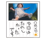 846202647