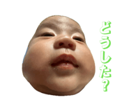 846202719