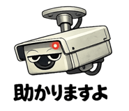 846203258