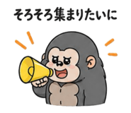 846203437