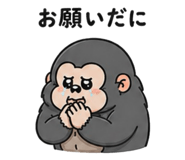 846203442