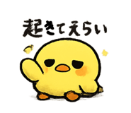 846203475