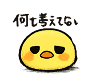 846203477