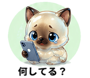 846203815