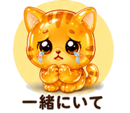 846204115