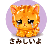 846204119