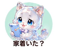 846204290