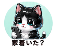 846204482