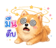 846205355