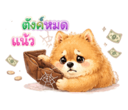 846205362