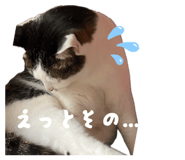 846205882