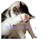 846205884