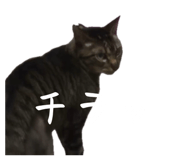 846205892