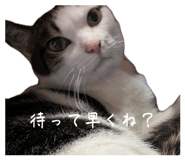 846205896
