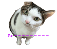 846205898