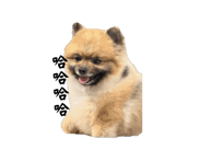 846206234